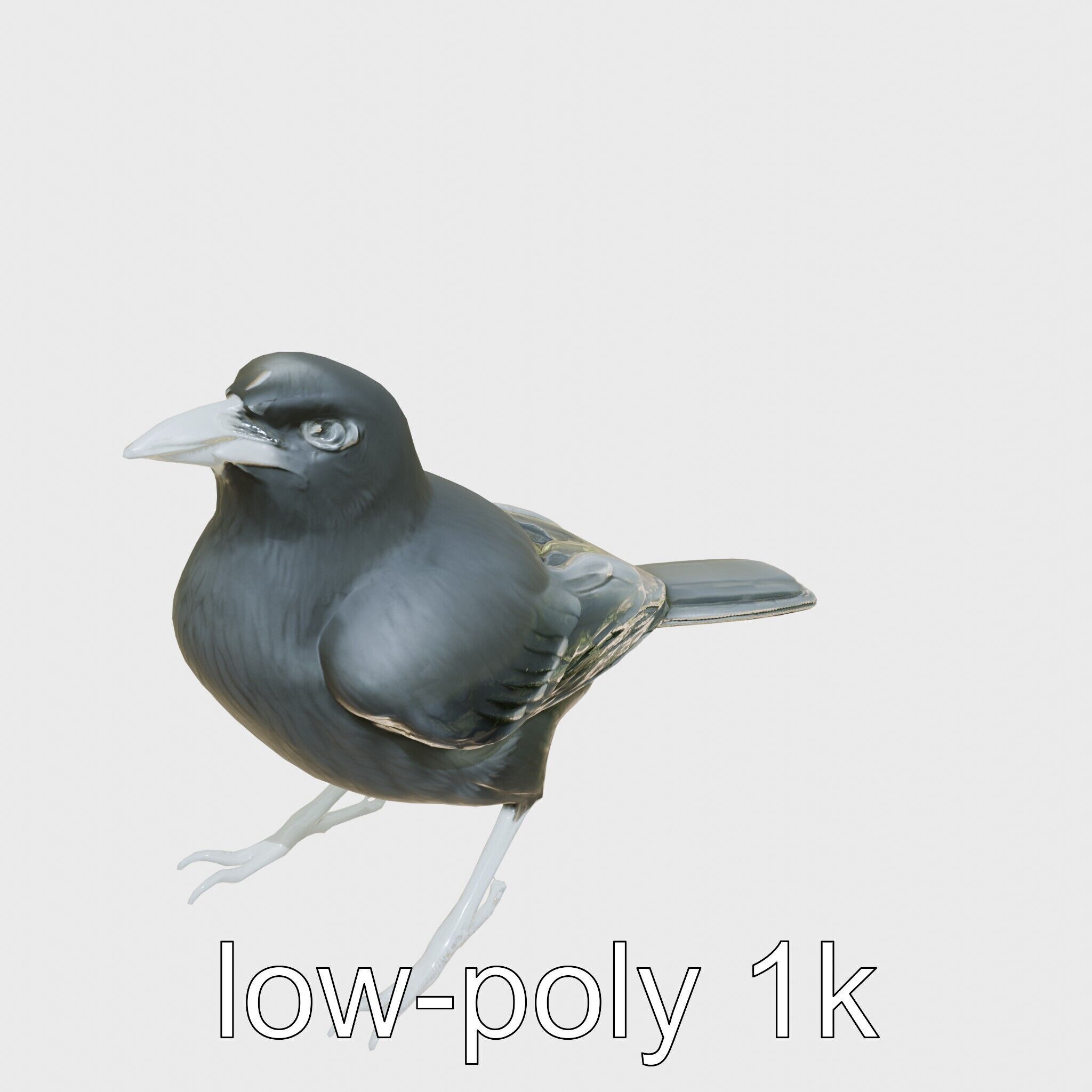 Australian Little Crow Realistic 3D Model Low-poly 3D model_9