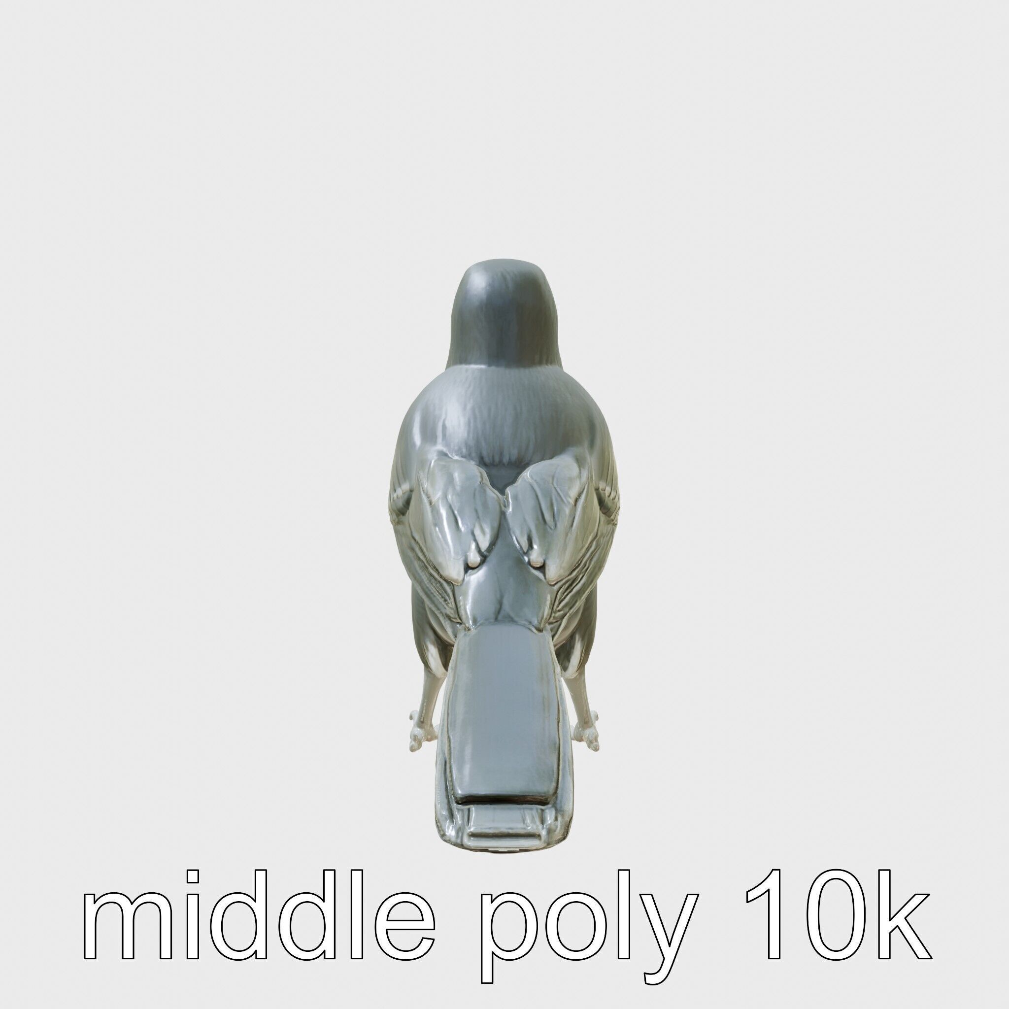 Australian Little Crow Realistic 3D Model Low-poly 3D model_2