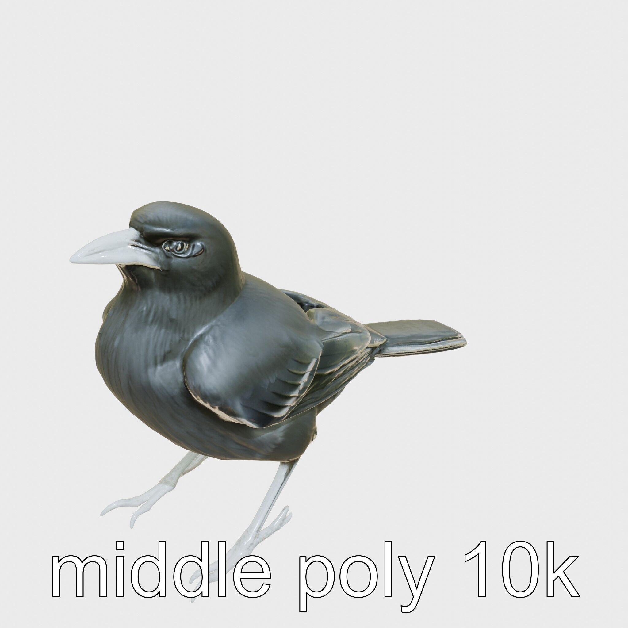 Australian Little Crow Realistic 3D Model Low-poly 3D model_8