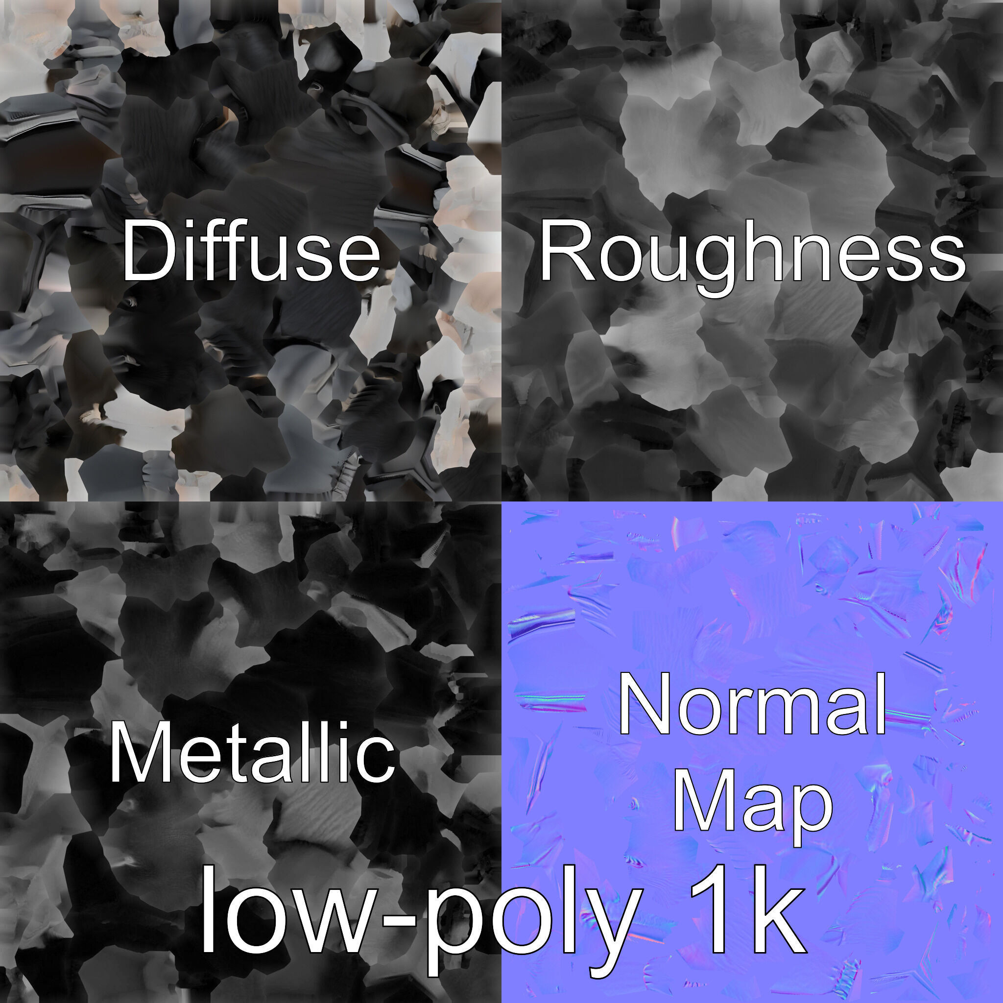 Australian Little Crow Realistic 3D Model Low-poly 3D model_1