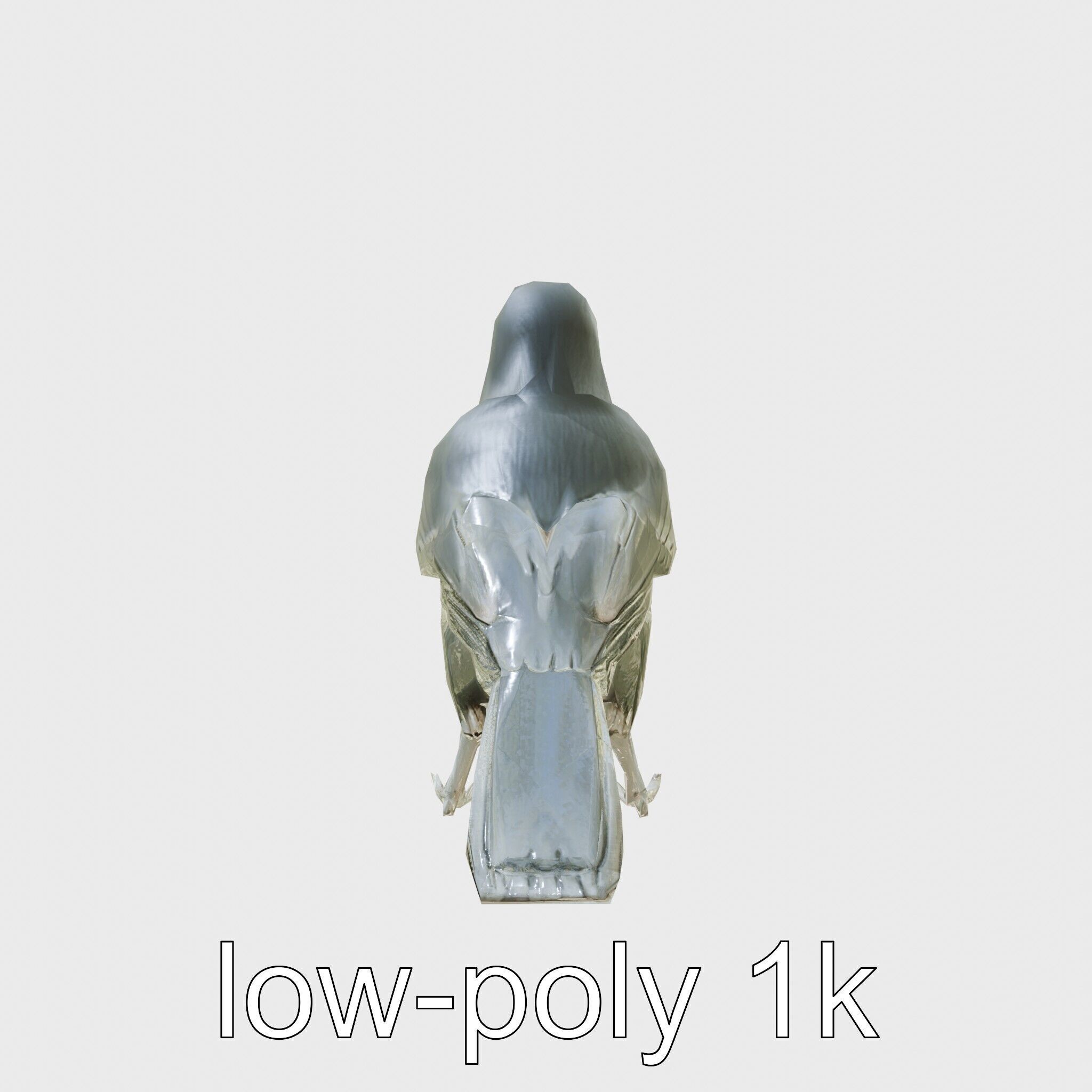 Australian Little Crow Realistic 3D Model Low-poly 3D model_4