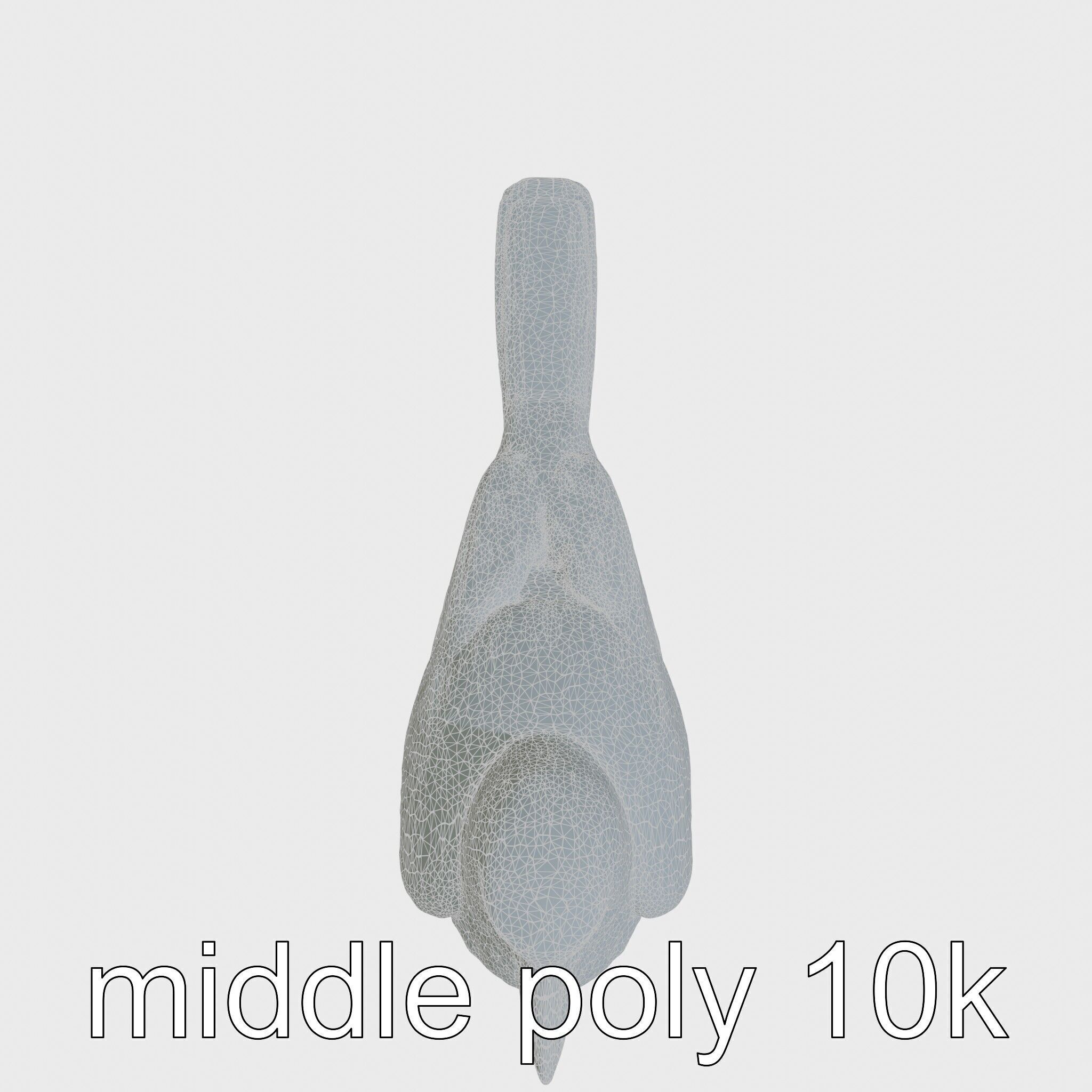 Australian Little Crow Realistic 3D Model Low-poly 3D model_12