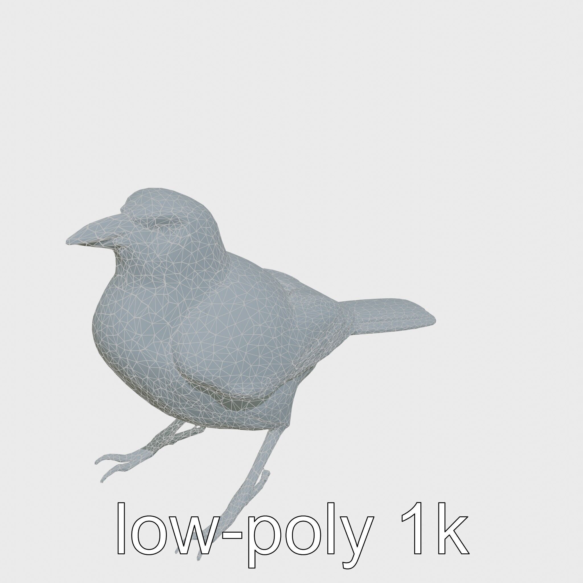 Australian Little Crow Realistic 3D Model Low-poly 3D model_10