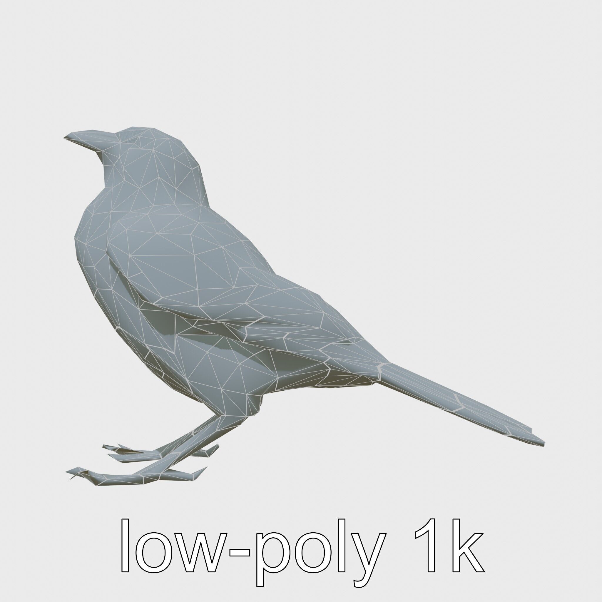 Australian Little Crow Realistic 3D Model Low-poly 3D model_28