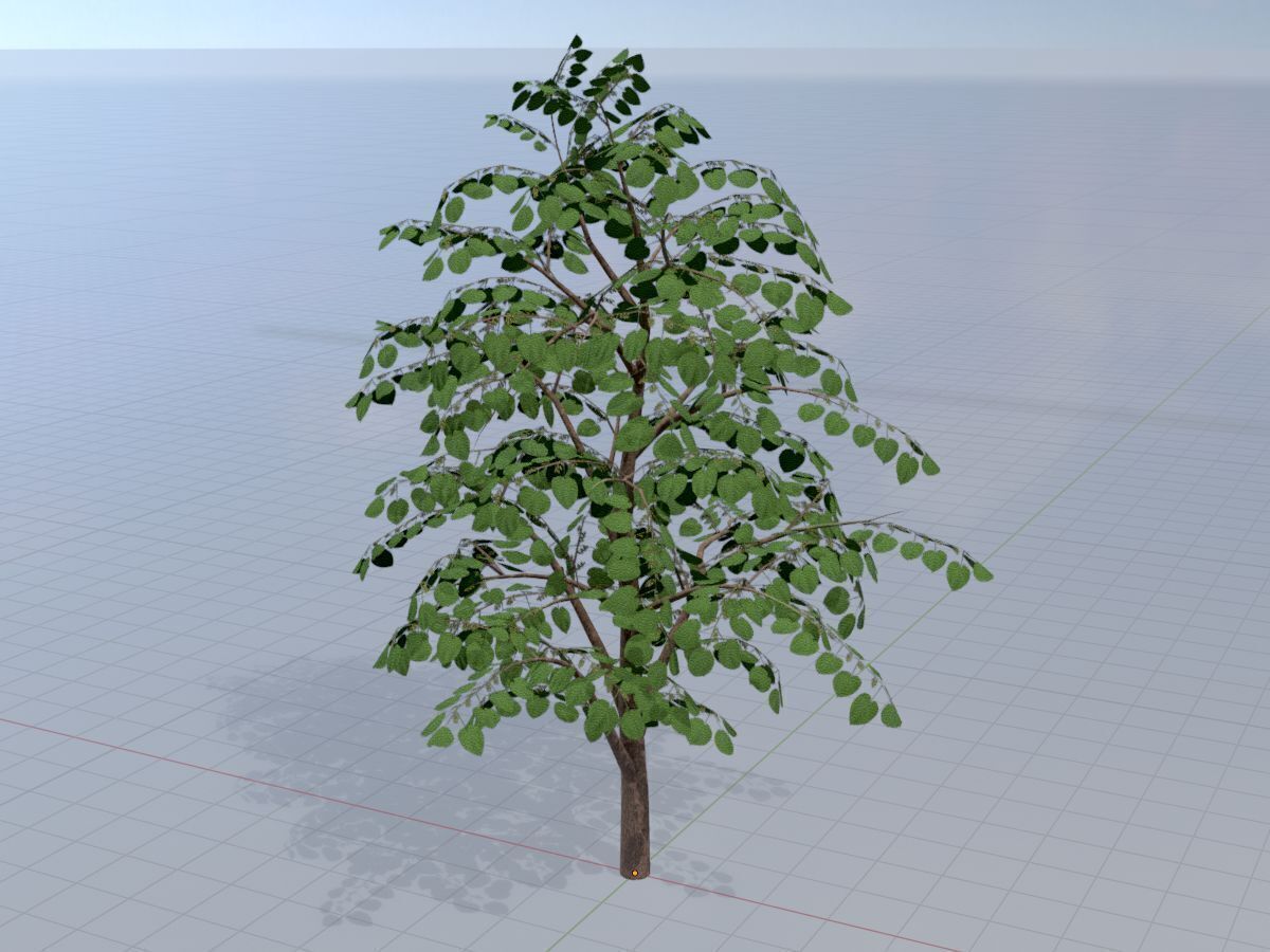 Empress tree summer LOD3 12000mm Low-poly 3D model_3