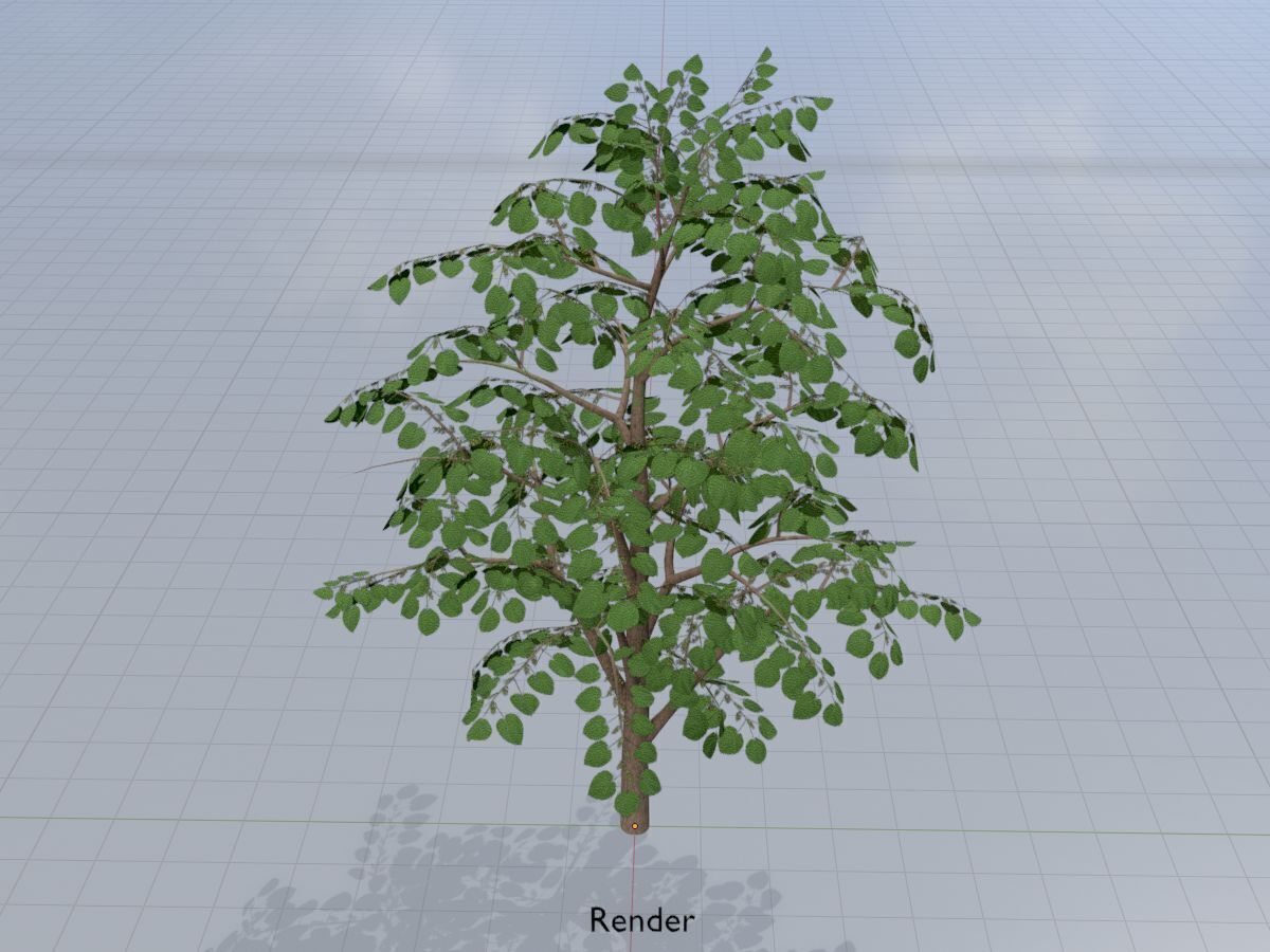 Empress tree summer LOD3 12000mm Low-poly 3D model_14