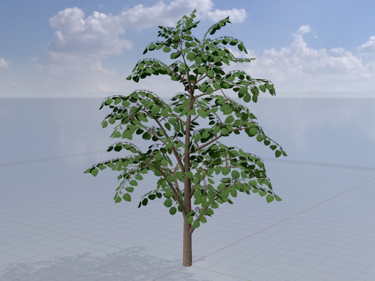 Empress tree summer LOD3 12000mm Low-poly 3D model_2