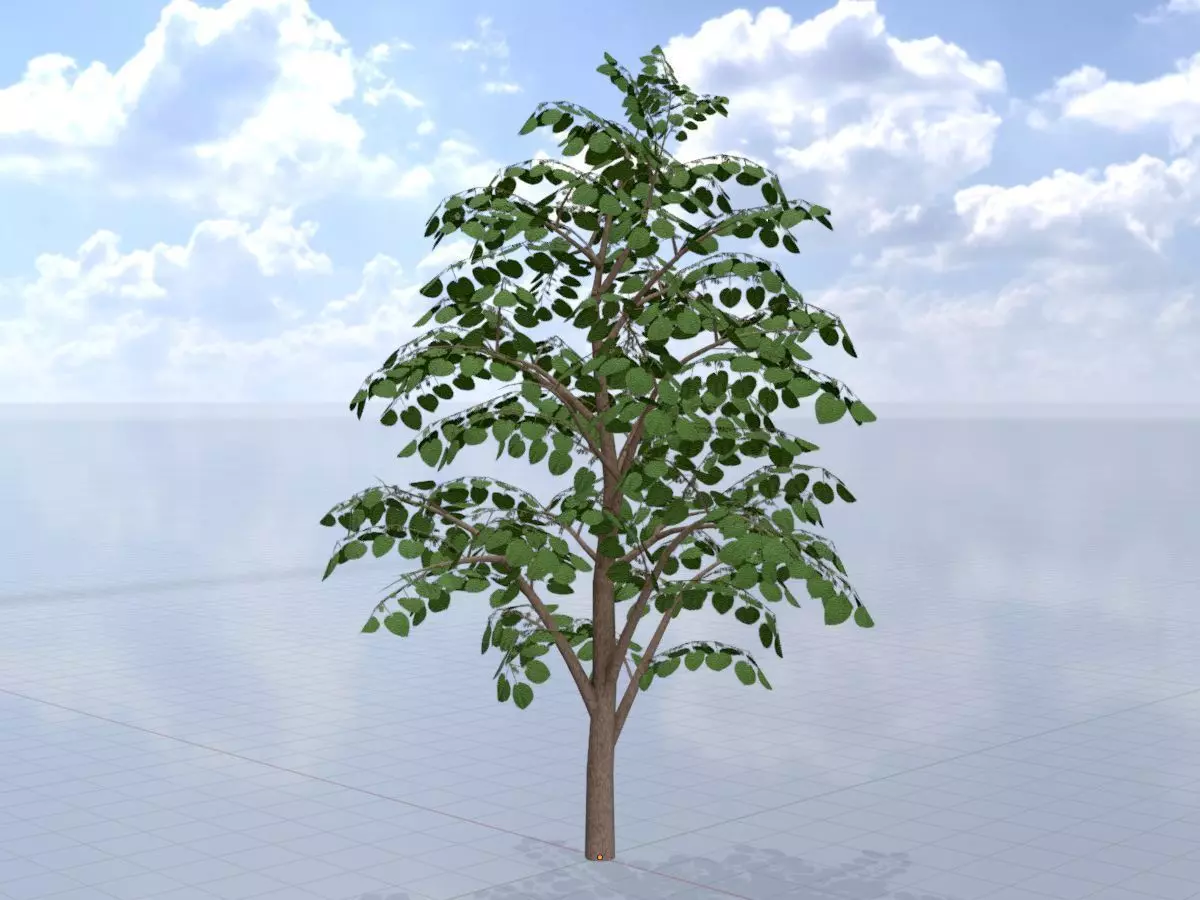 Empress tree summer LOD3 12000mm Low-poly 3D model_0