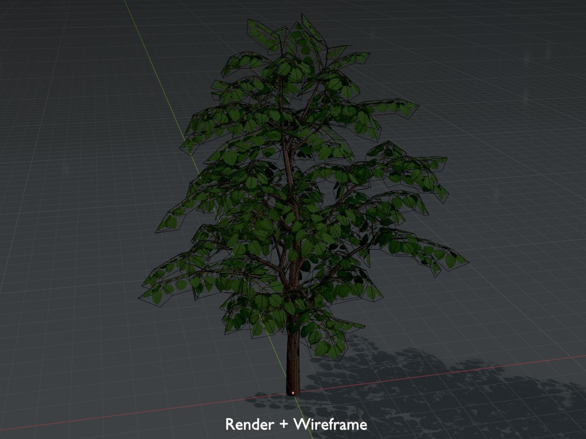 Empress tree summer LOD3 12000mm Low-poly 3D model_8