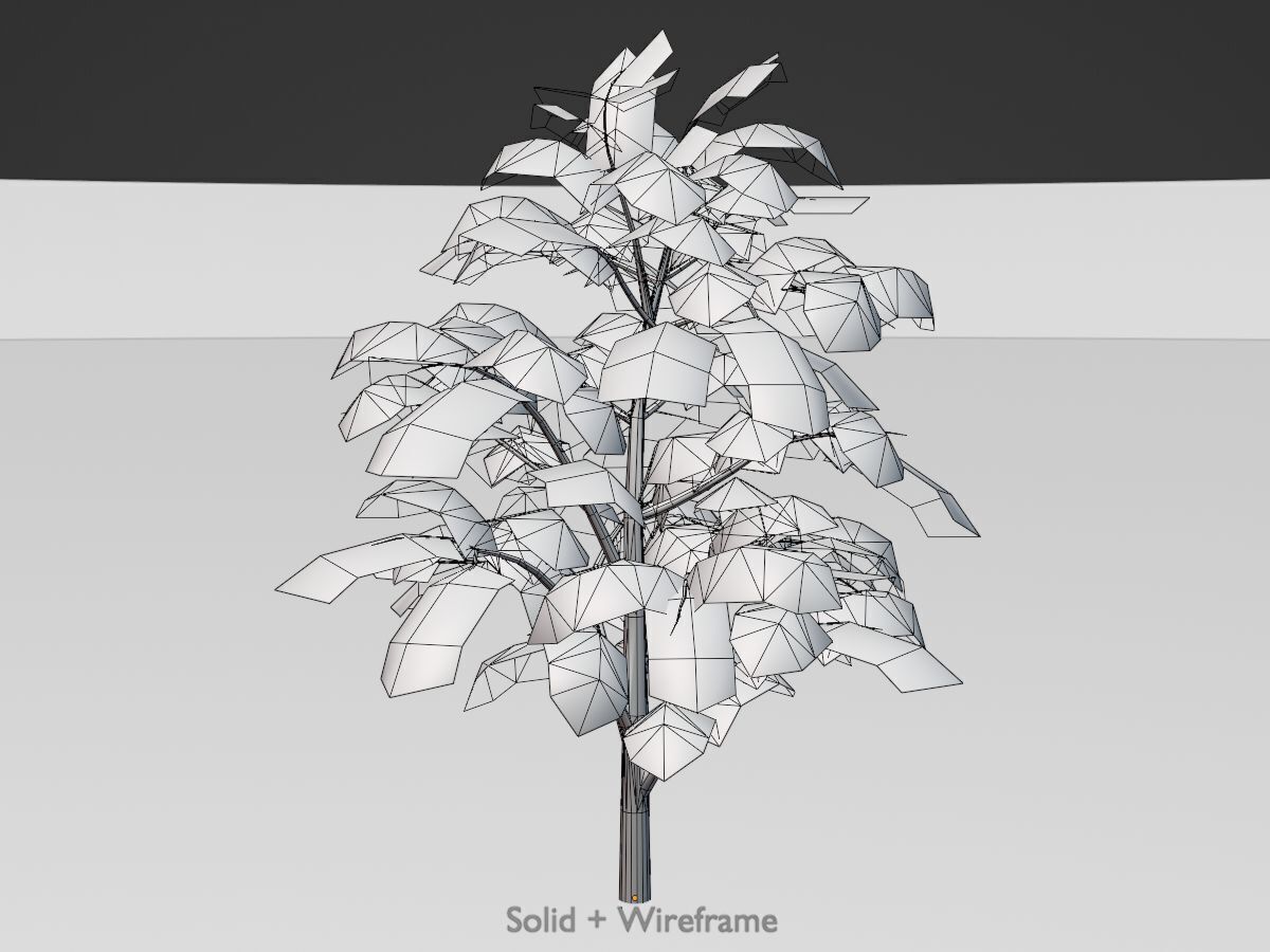 Empress tree summer LOD3 12000mm Low-poly 3D model_10