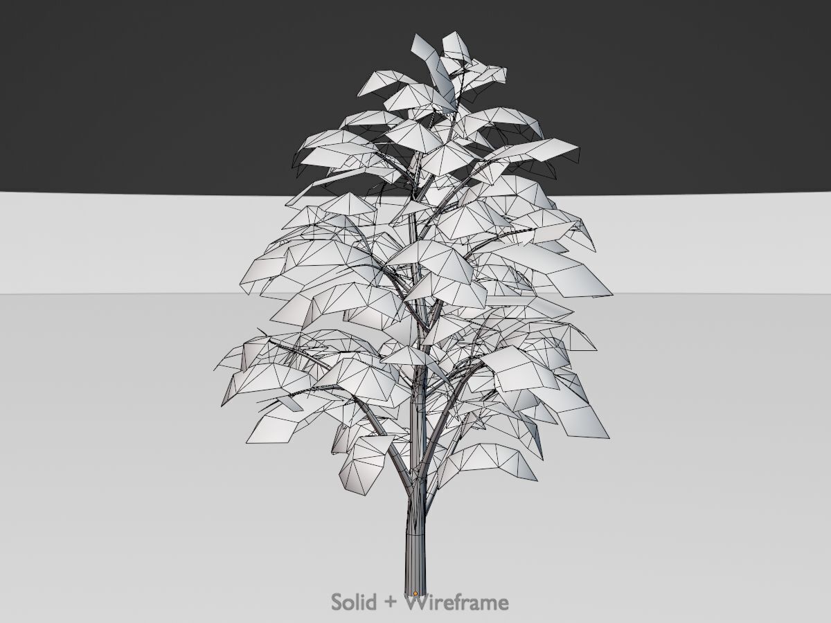 Empress tree summer LOD3 12000mm Low-poly 3D model_9