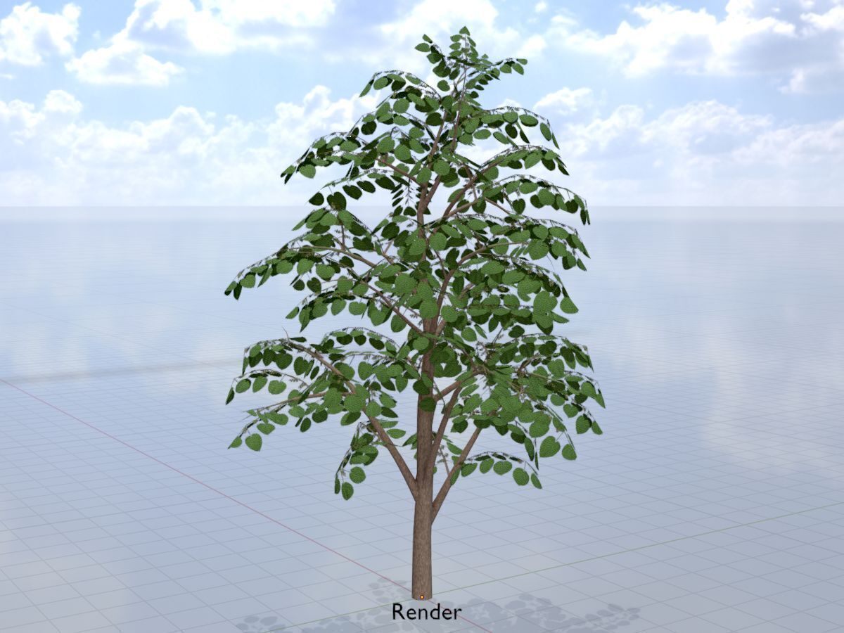 Empress tree summer LOD3 12000mm Low-poly 3D model_13