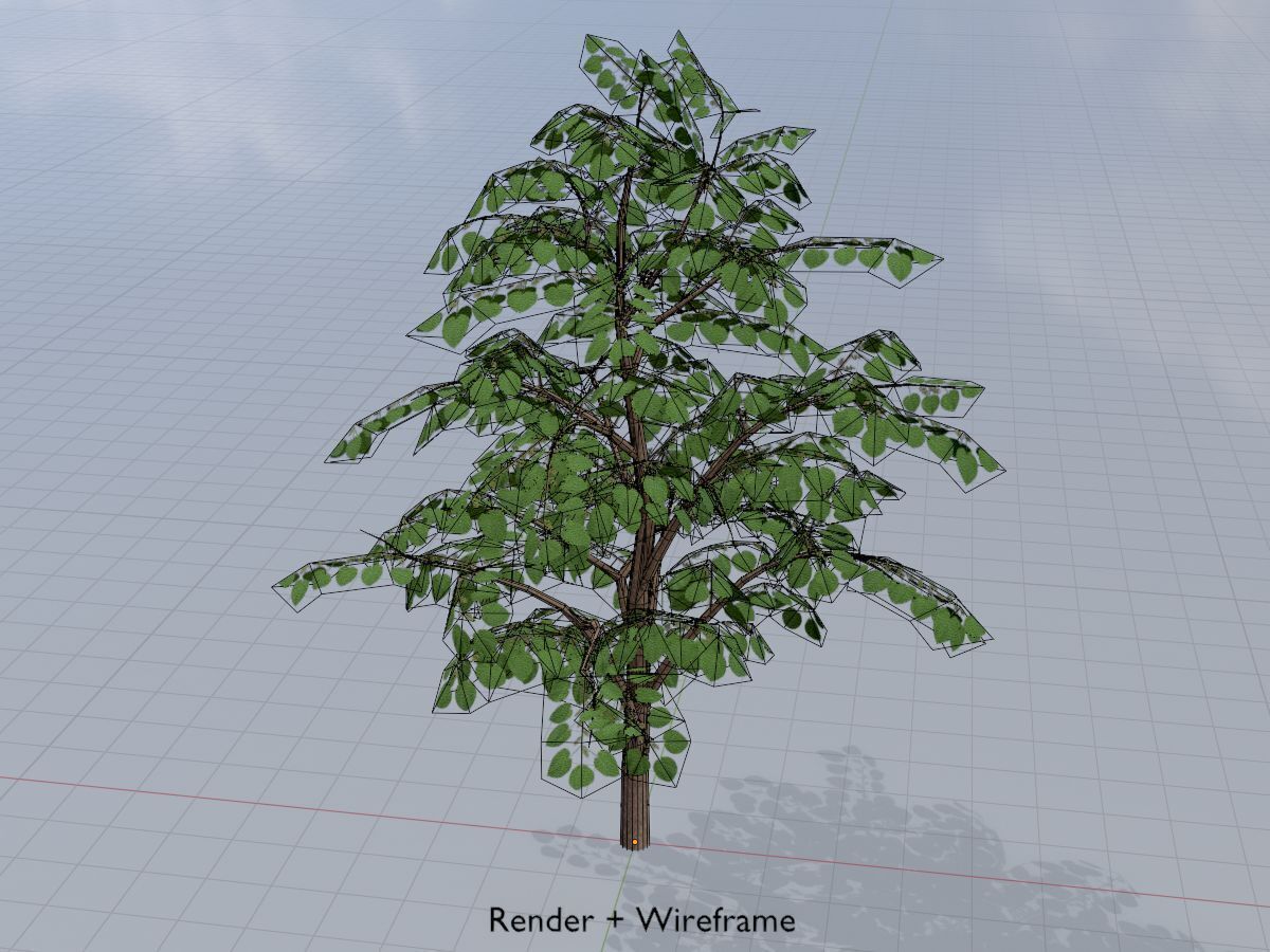 Empress tree summer LOD3 12000mm Low-poly 3D model_5