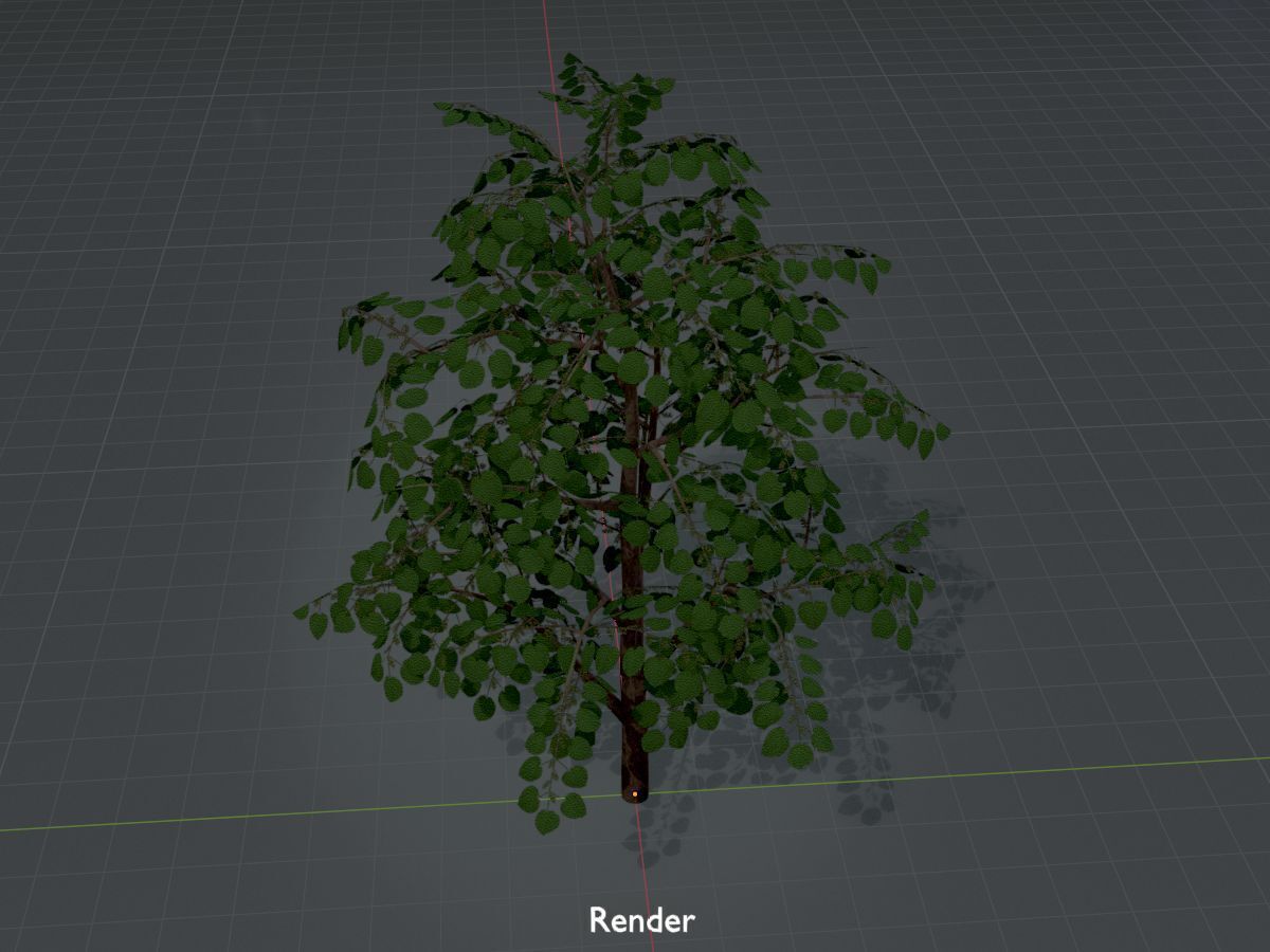 Empress tree summer LOD3 12000mm Low-poly 3D model_16