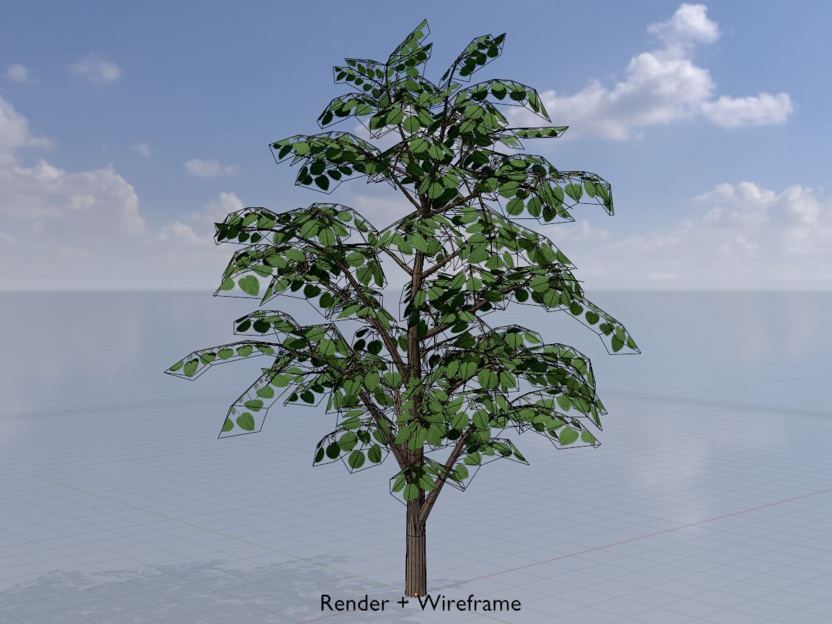 Empress tree summer LOD3 12000mm Low-poly 3D model_6