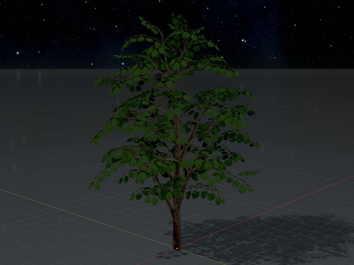 Empress tree summer LOD3 12000mm Low-poly 3D model_4