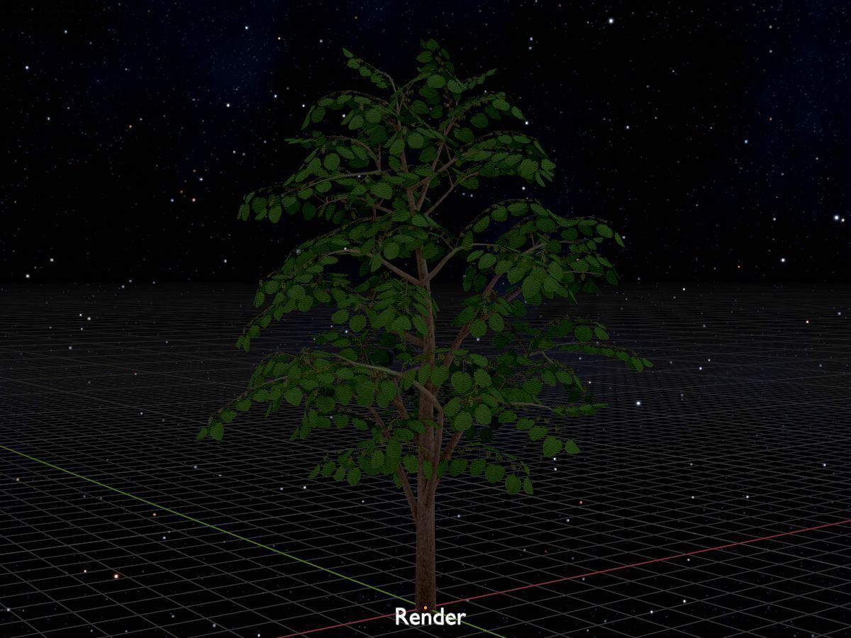 Empress tree summer LOD3 12000mm Low-poly 3D model_20