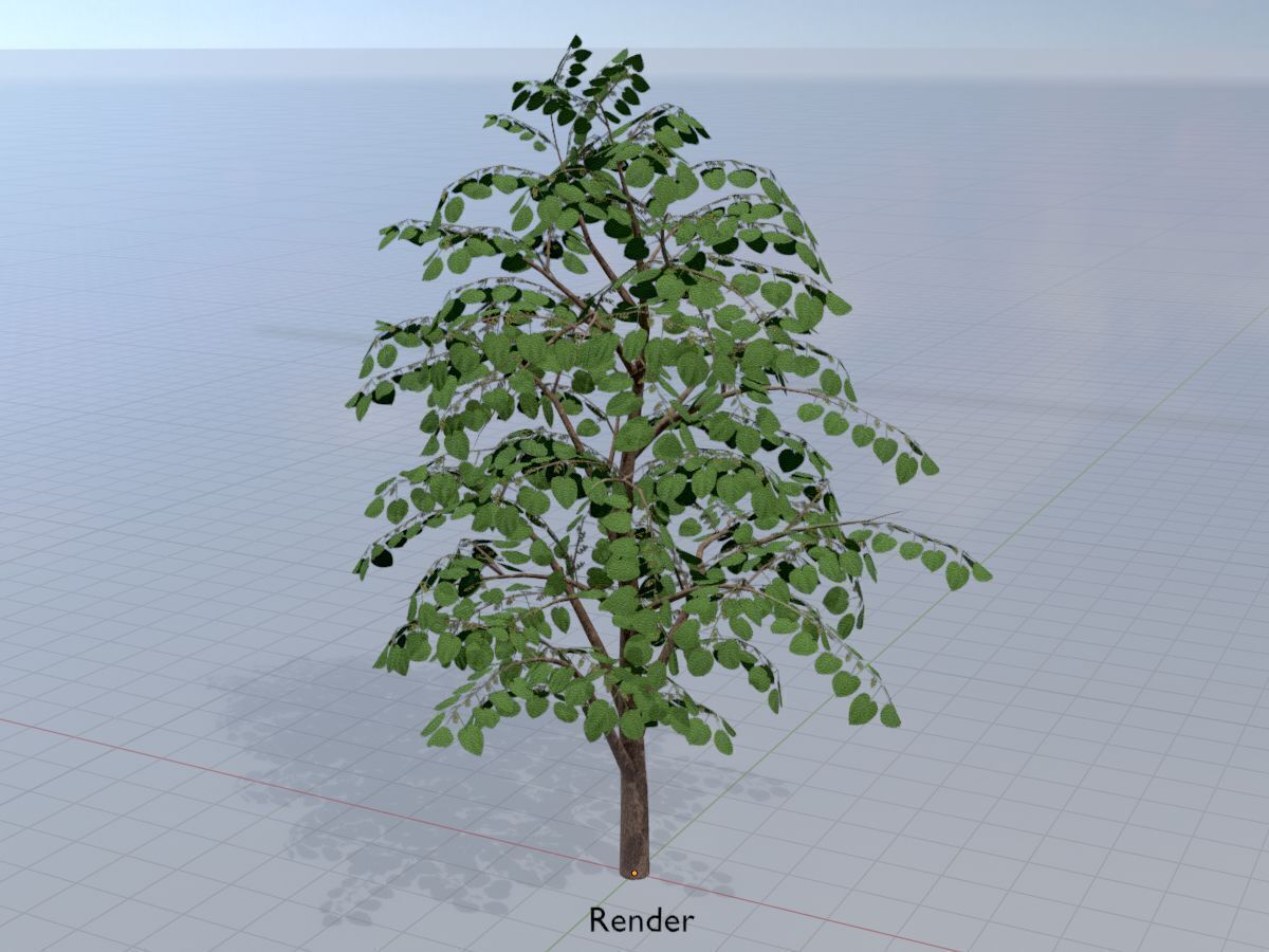 Empress tree summer LOD3 12000mm Low-poly 3D model_15