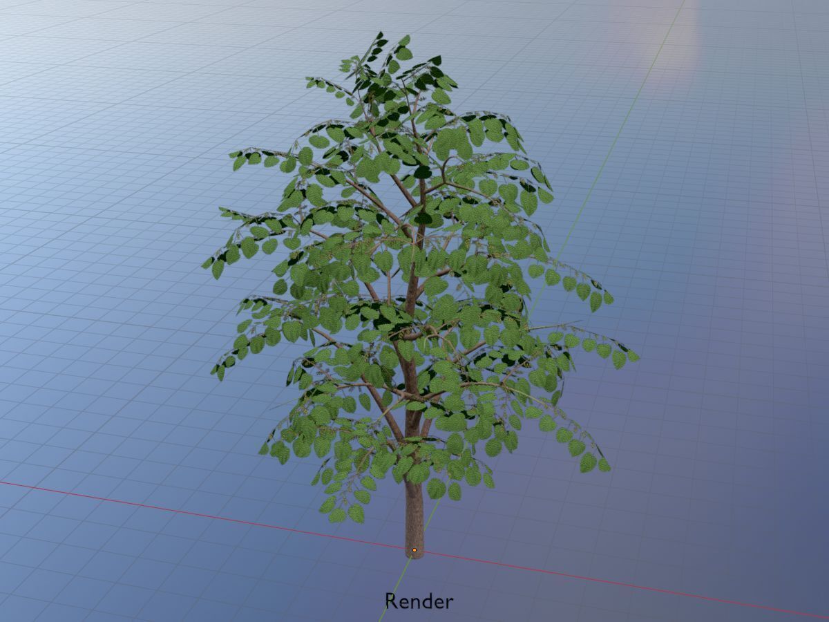 Empress tree summer LOD3 12000mm Low-poly 3D model_19