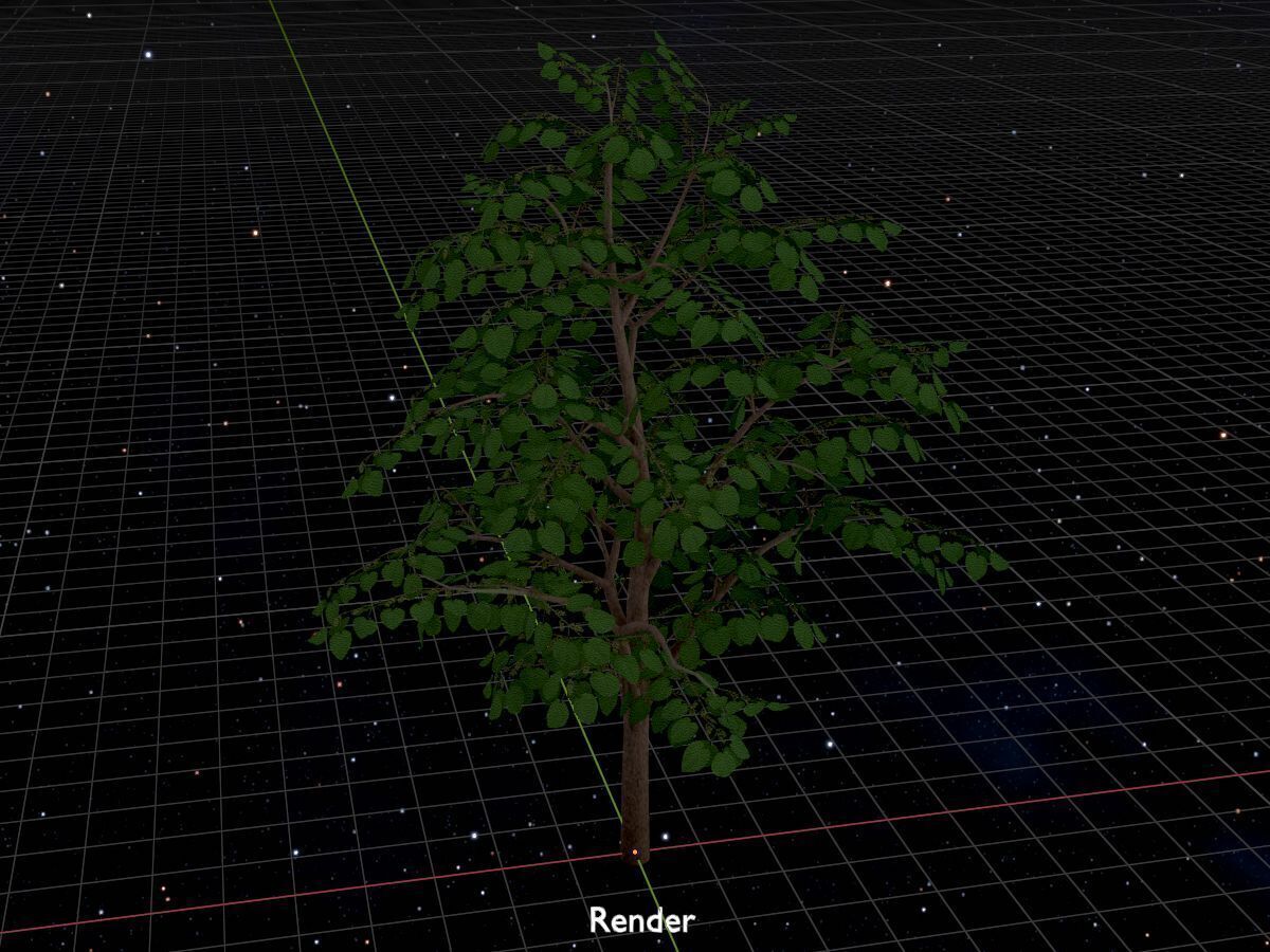 Empress tree summer LOD3 12000mm Low-poly 3D model_17