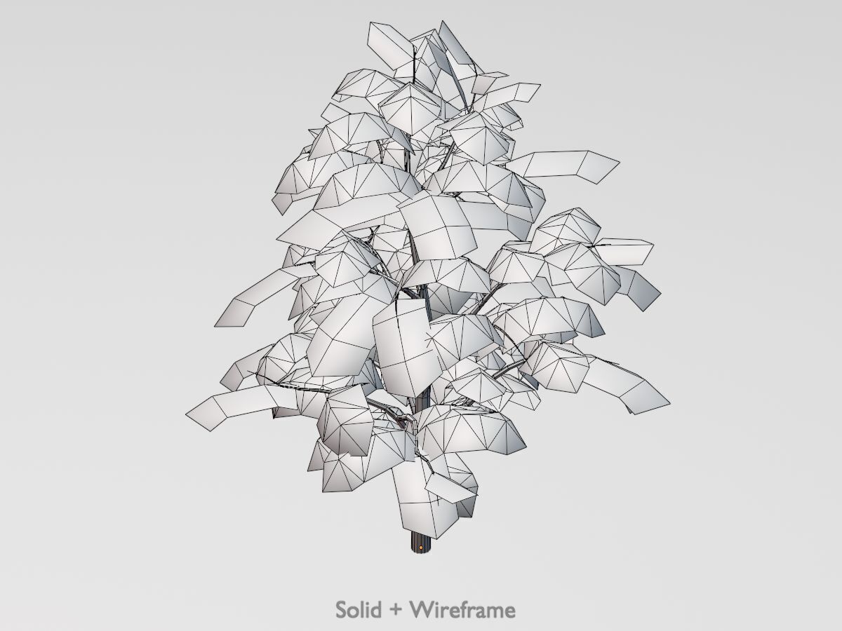 Empress tree summer LOD3 12000mm Low-poly 3D model_12