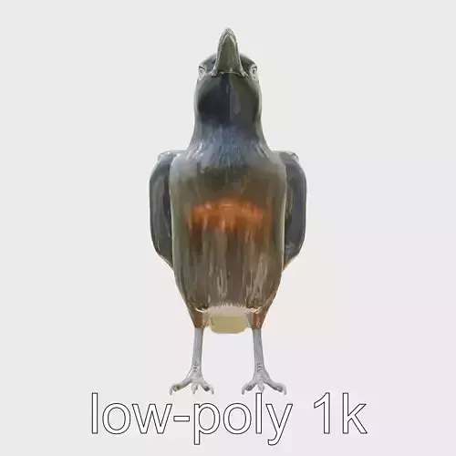 Brown-necked Raven Detailed 3D Model Low-poly 3D model