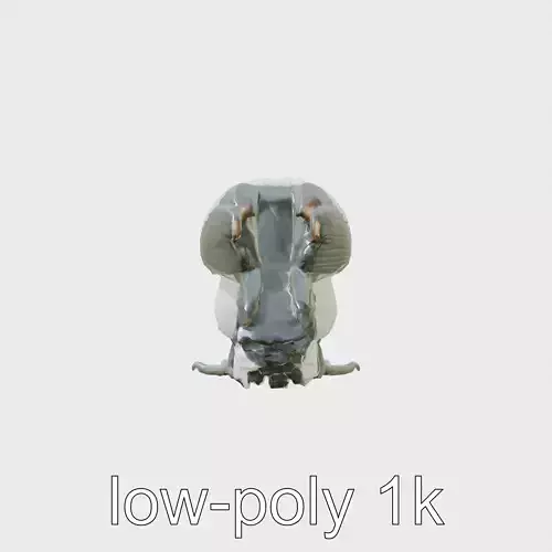 Rook Bird with Shaggy Throat Feathers 3D Model Low-poly 3D model
