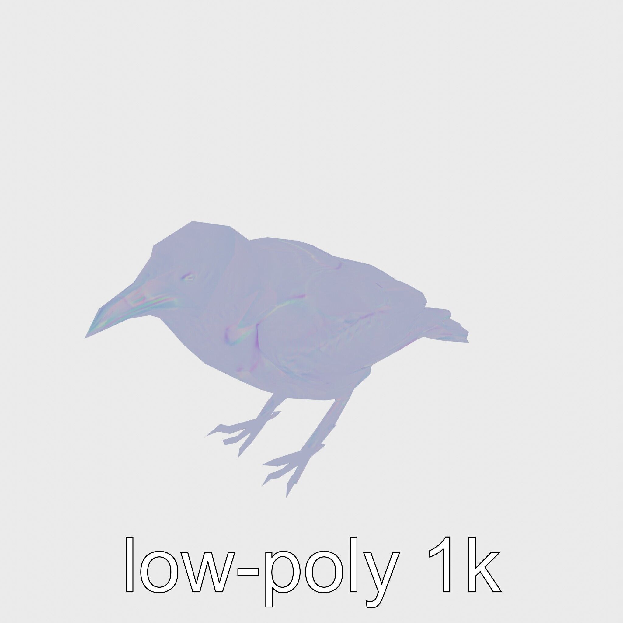 White-necked Raven 3D Model with Cliff-dwelling Features Low-poly 3D model_13