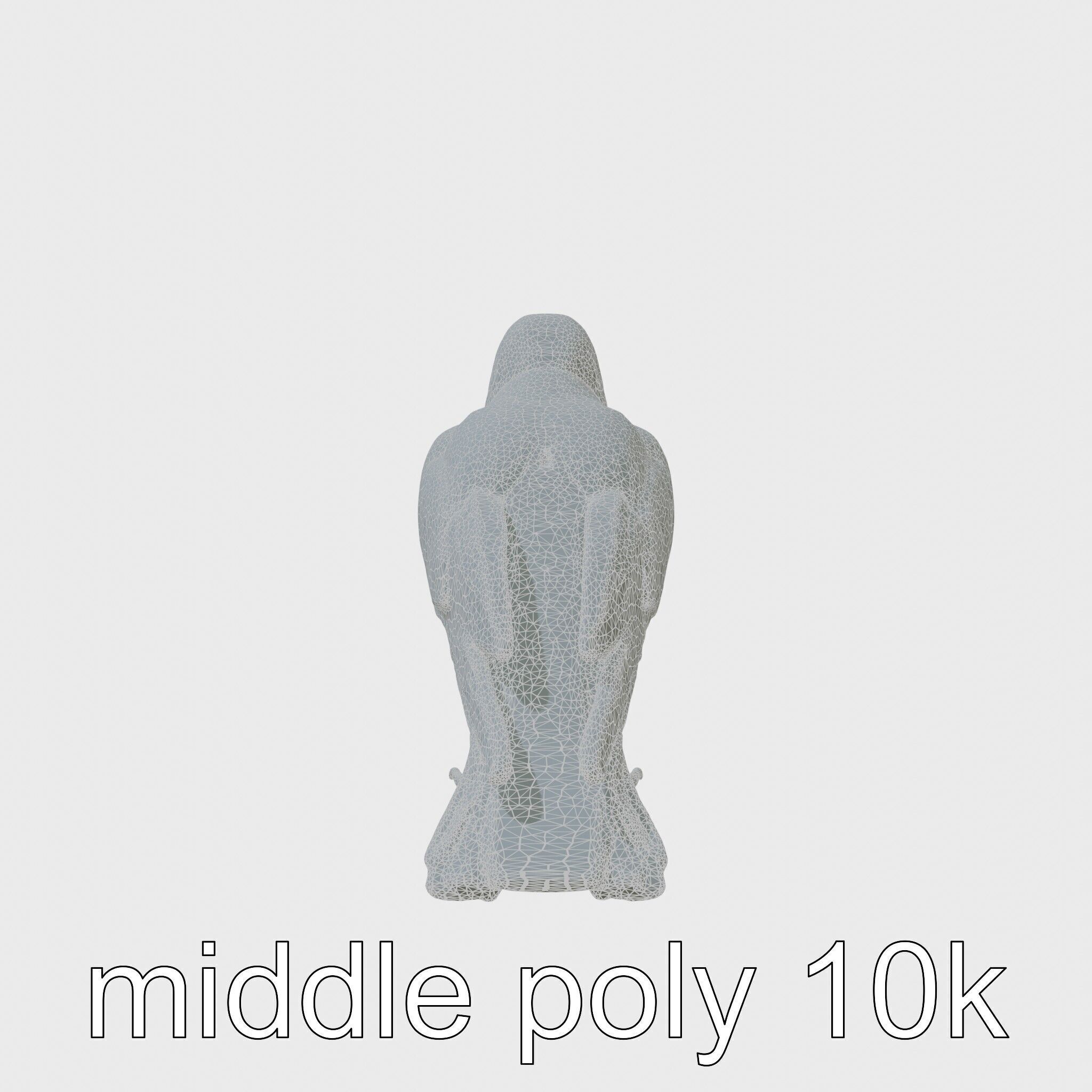 White-necked Raven 3D Model with Cliff-dwelling Features Low-poly 3D model_5