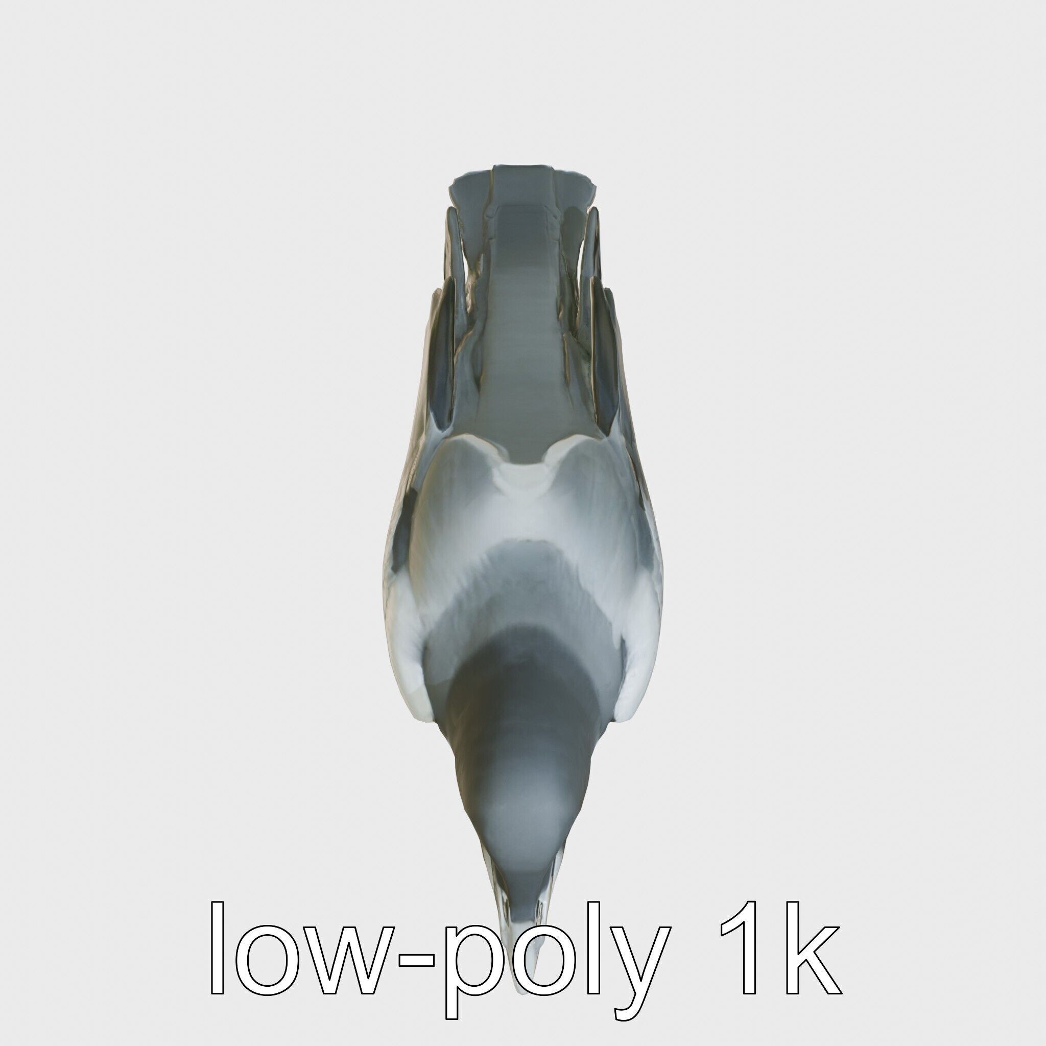 White-necked Raven 3D Model with Cliff-dwelling Features Low-poly 3D model_16