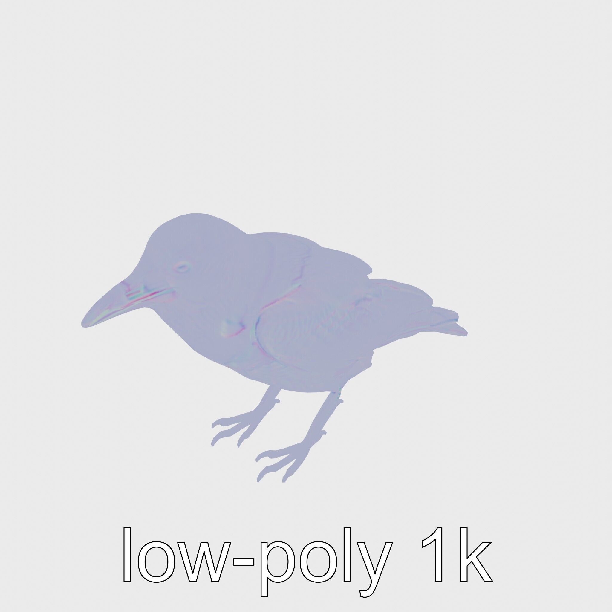 White-necked Raven 3D Model with Cliff-dwelling Features Low-poly 3D model_12