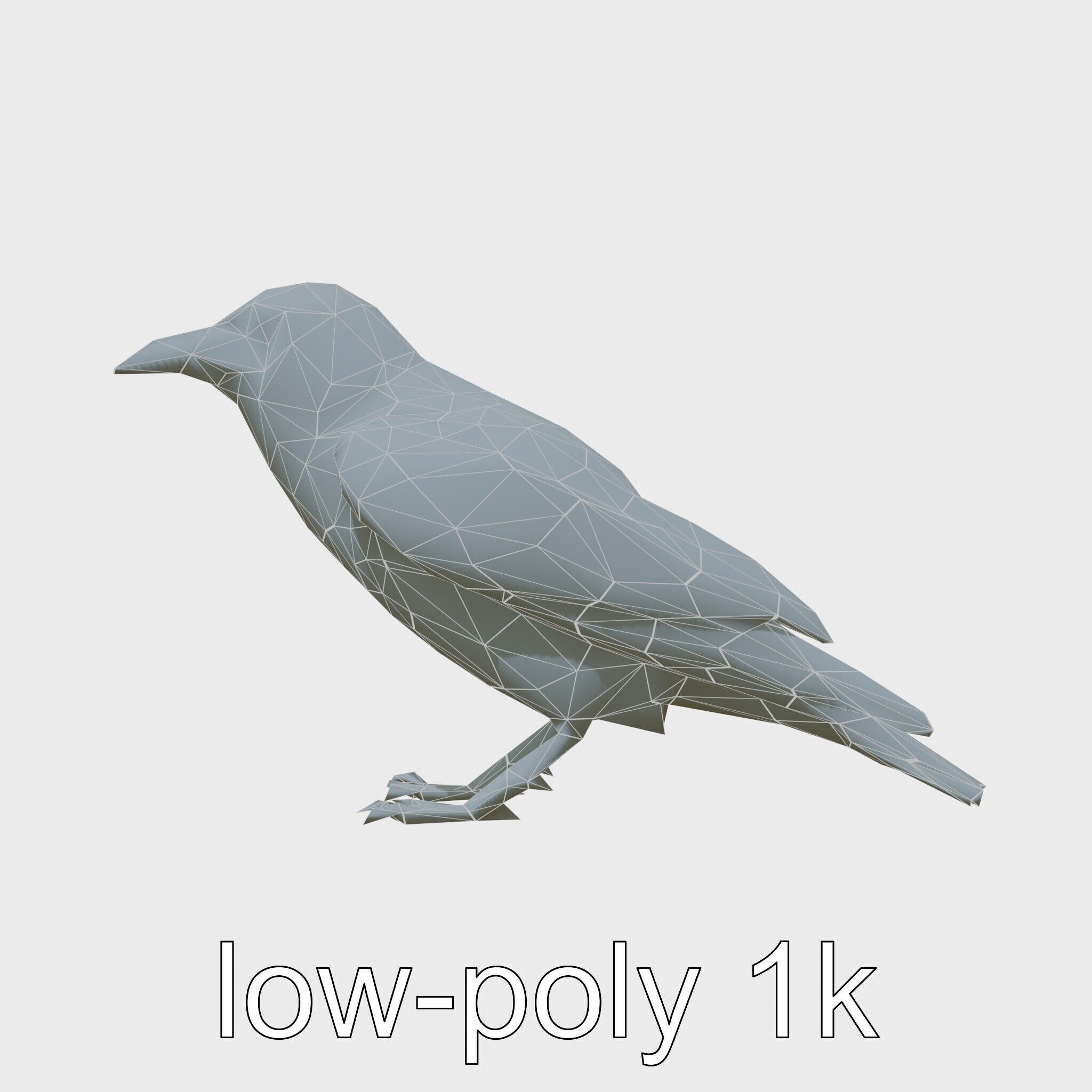 White-necked Raven 3D Model with Cliff-dwelling Features Low-poly 3D model_18