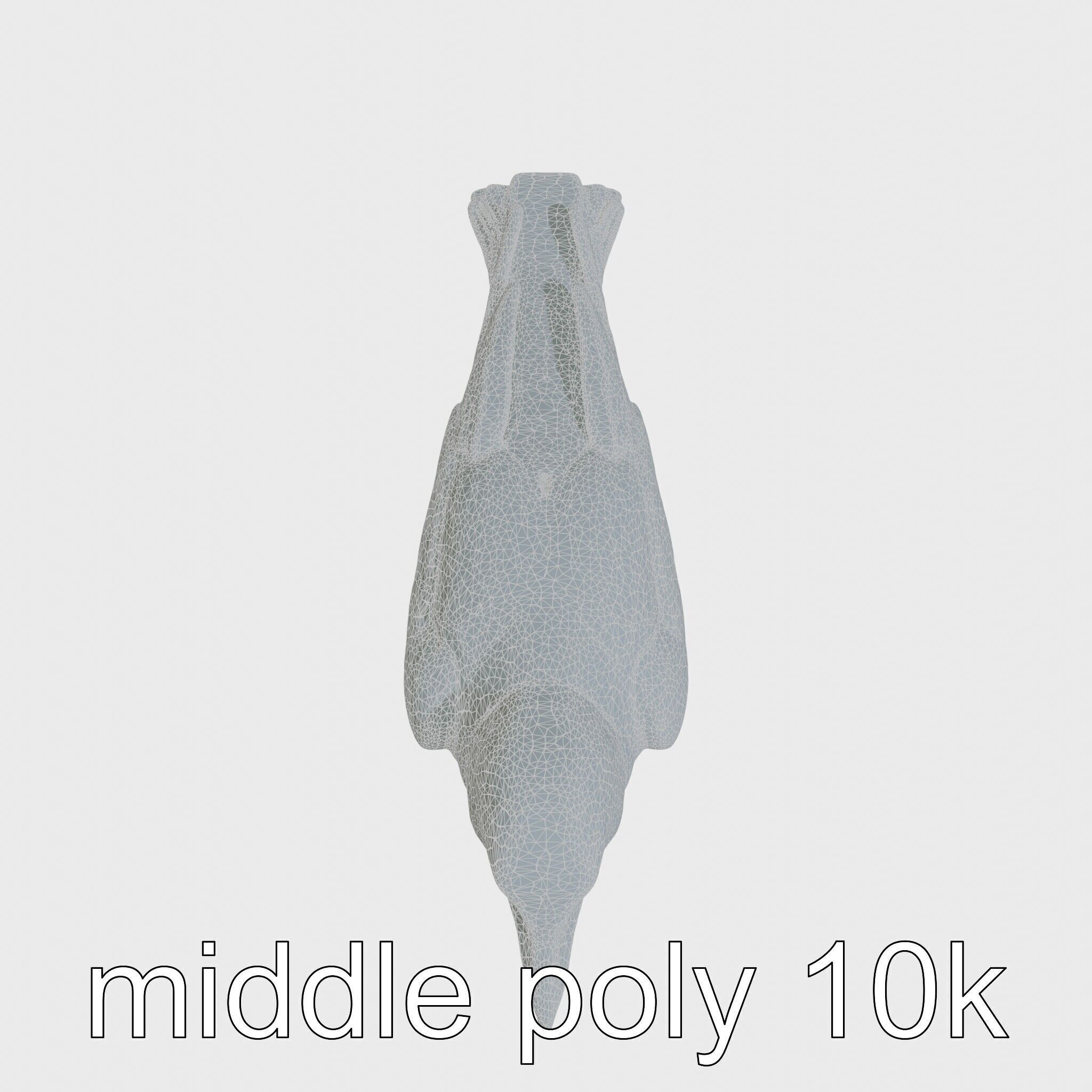 White-necked Raven 3D Model with Cliff-dwelling Features Low-poly 3D model_28