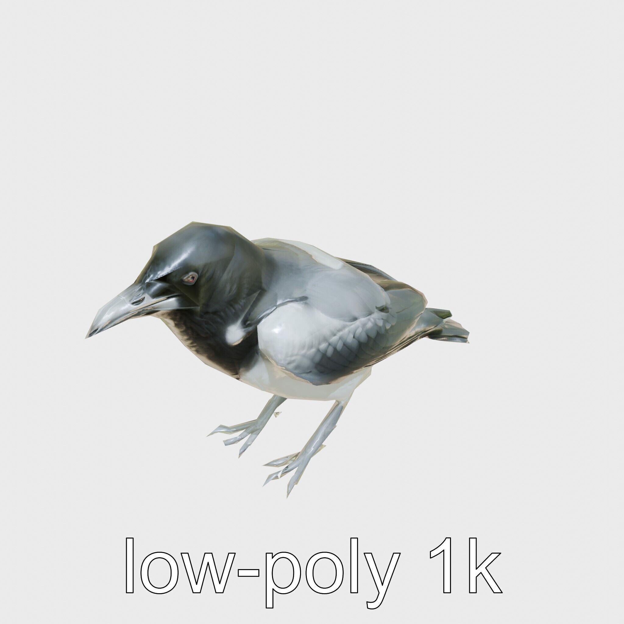 White-necked Raven 3D Model with Cliff-dwelling Features Low-poly 3D model_10