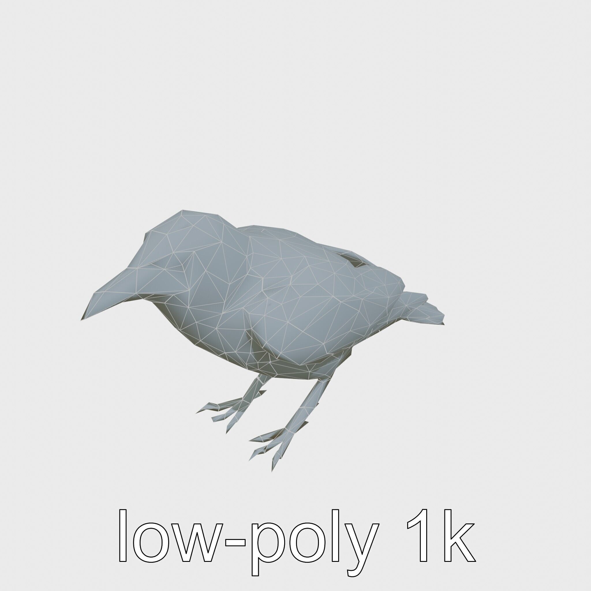 White-necked Raven 3D Model with Cliff-dwelling Features Low-poly 3D model_19
