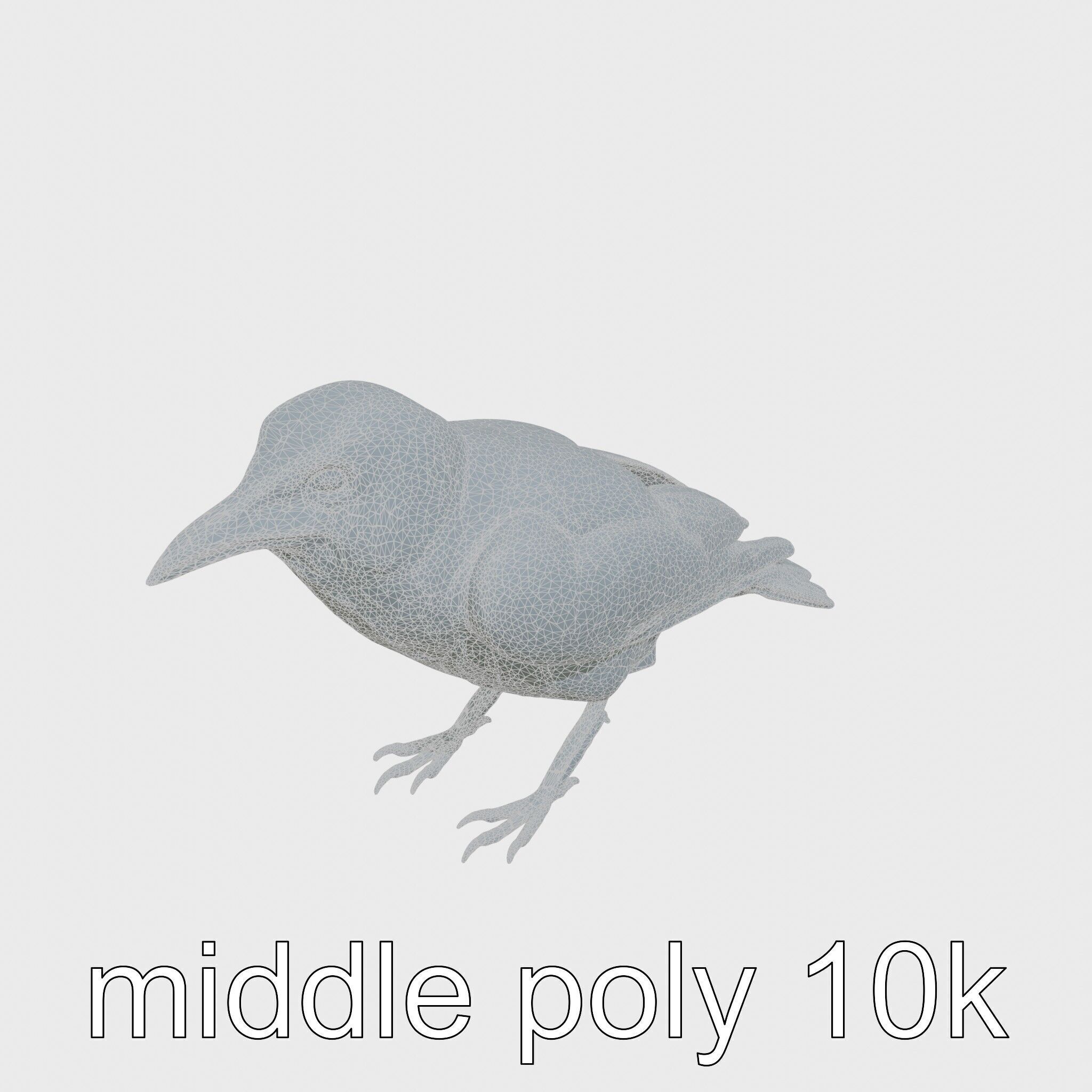 White-necked Raven 3D Model with Cliff-dwelling Features Low-poly 3D model_21