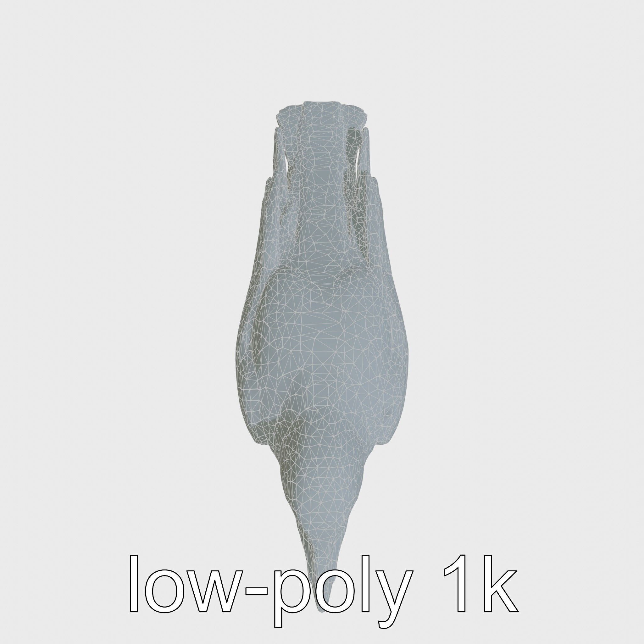 White-necked Raven 3D Model with Cliff-dwelling Features Low-poly 3D model_26