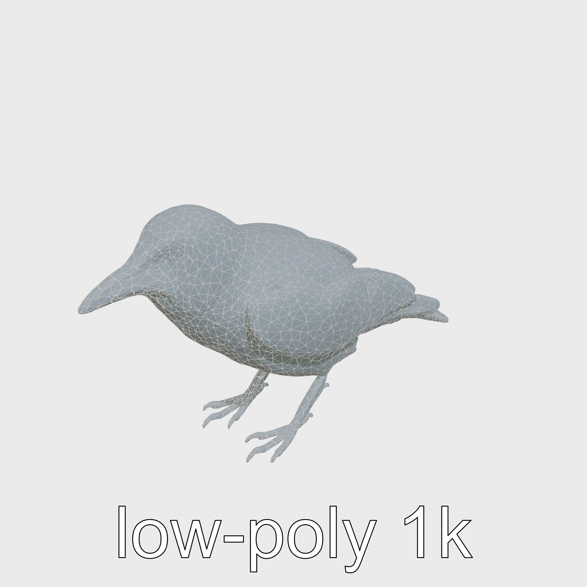 White-necked Raven 3D Model with Cliff-dwelling Features Low-poly 3D model_11