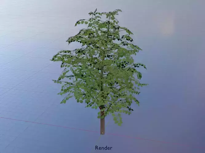 Empress tree summer LOD3 16000mm Low-poly 3D model