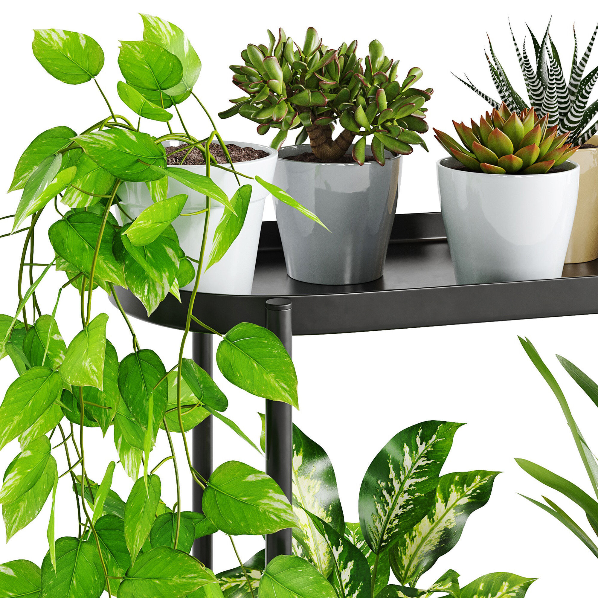 Houseplant 88 Olivblad plant stand 3D model_7