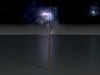 Empress tree winter 5000mm Low-poly 3D model_1