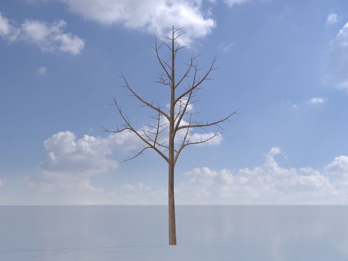 Empress tree winter 8000mm Low-poly 3D model_2