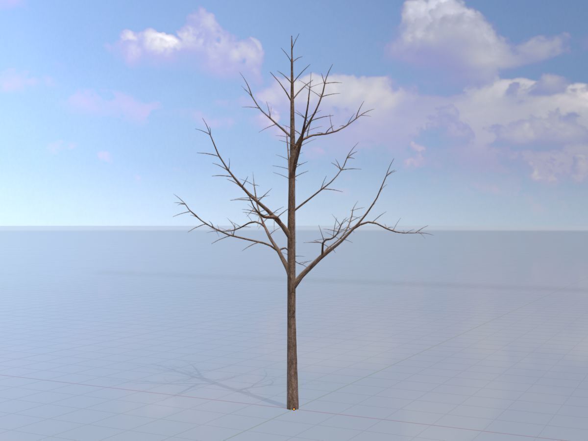 Empress tree winter 8000mm Low-poly 3D model_3