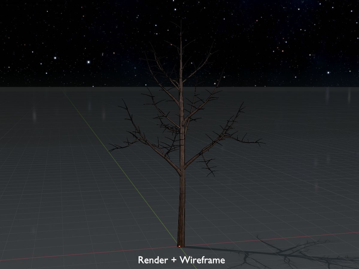 Empress tree winter 8000mm Low-poly 3D model_8
