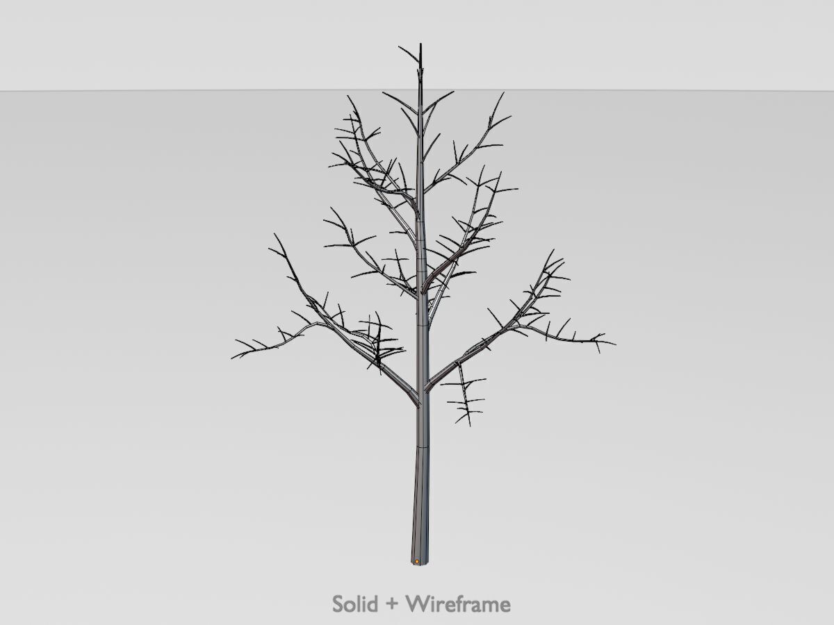 Empress tree winter 8000mm Low-poly 3D model_12