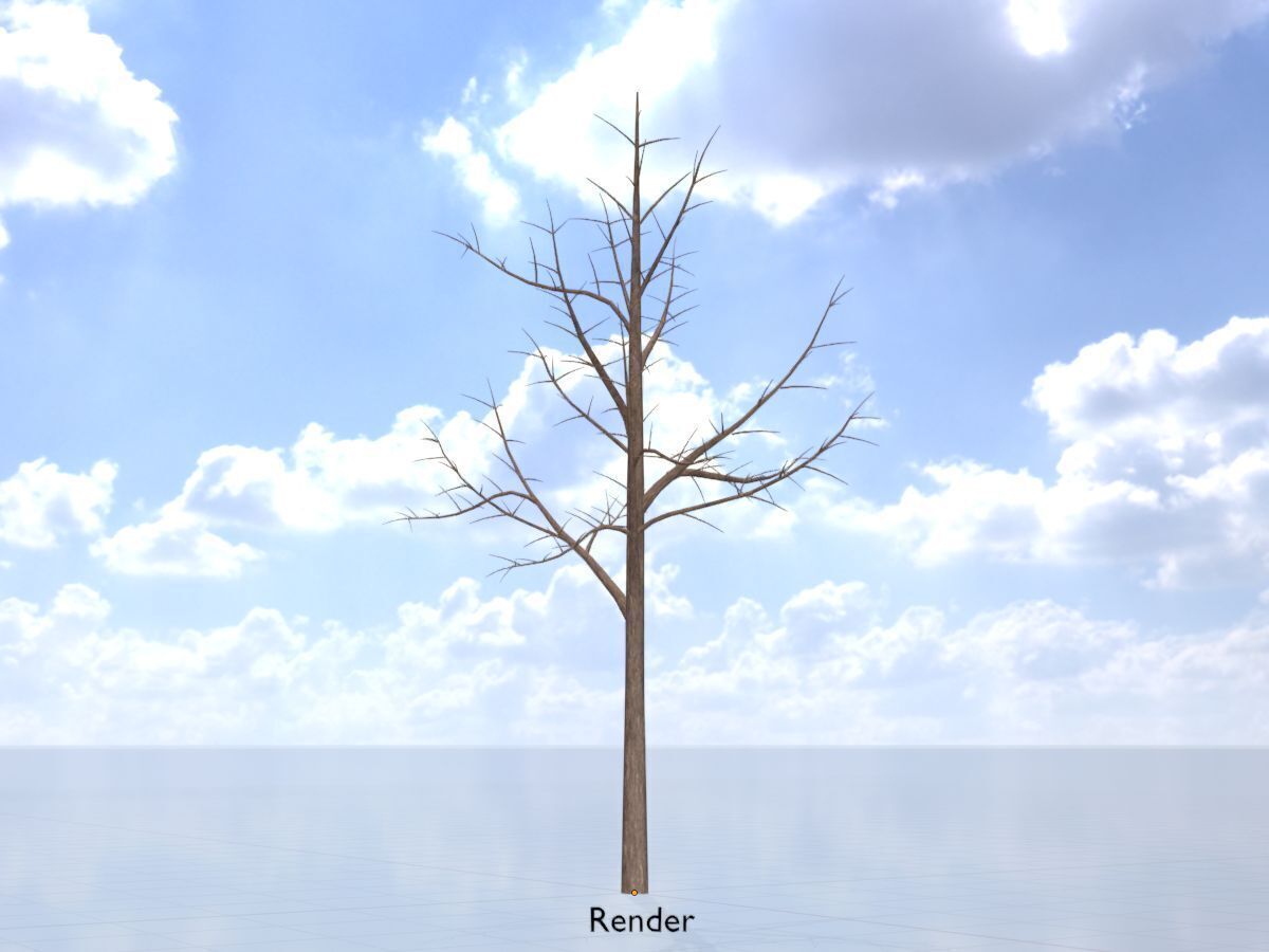 Empress tree winter 8000mm Low-poly 3D model_13