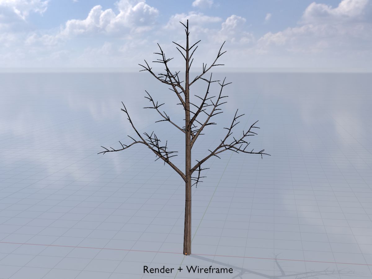 Empress tree winter 8000mm Low-poly 3D model_5