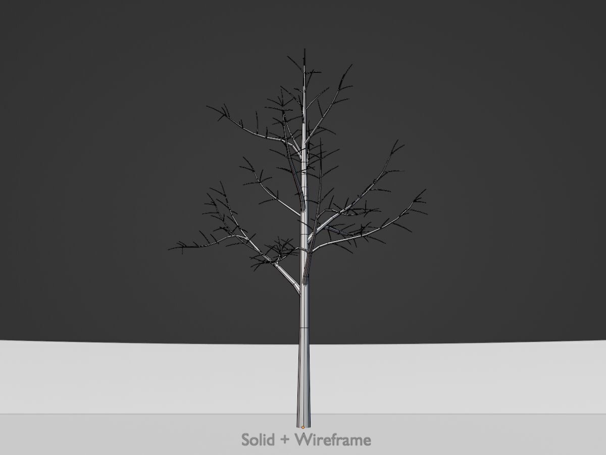 Empress tree winter 8000mm Low-poly 3D model_9