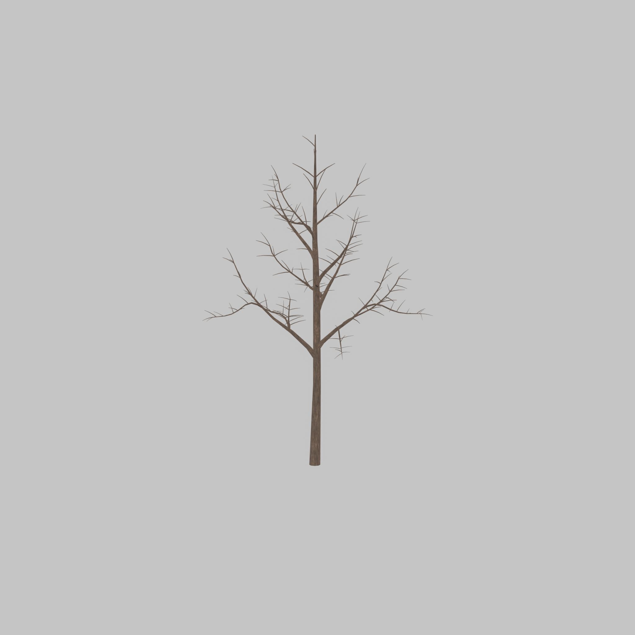 Empress tree winter 8000mm Low-poly 3D model_21