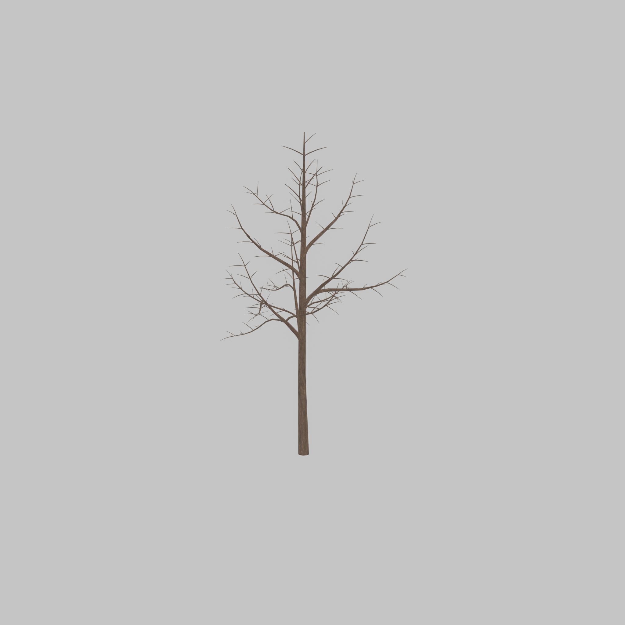 Empress tree winter 8000mm Low-poly 3D model_32